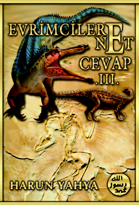 Evrimcilere Net Cevap - 3